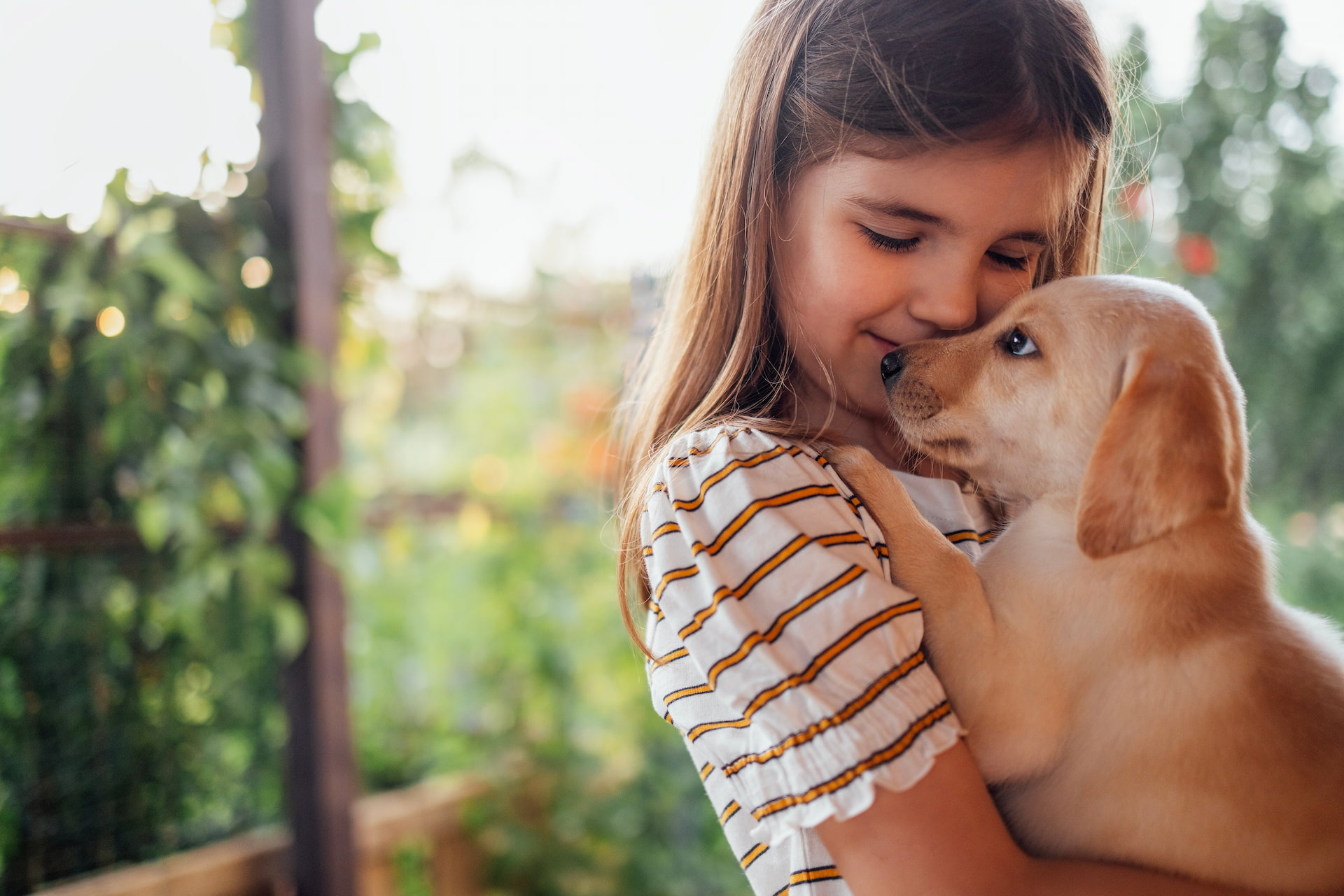 Puppy Checkup in Oakland Township, MI | Faithful Friends Veterinary Care