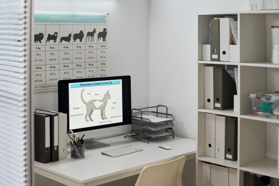 Pet Prescriptions Online in Oakland Township, MI | Faithful Friends Veterinary Care