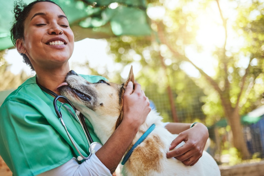 Vet Accepting New Patients in Oakland Township, MI | Faithful Friends Veterinary Care